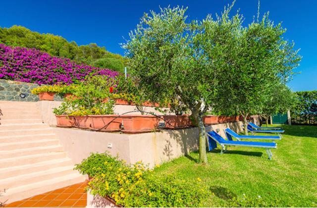 Usticaappartamenti Ca'Serta Isola di Ustica Ngoại thất bức ảnh